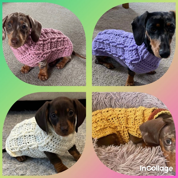 Puppy Jumpers for Miniature Dachshunds aged 8-12wks old