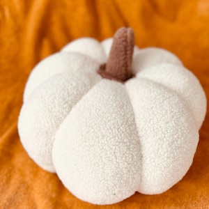 May include: A white plush pumpkin with a brown stem. The pumpkin is sitting on a fuzzy orange surface.