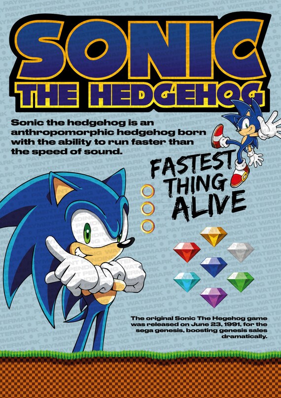 Sonic the Hedgehog Poster 