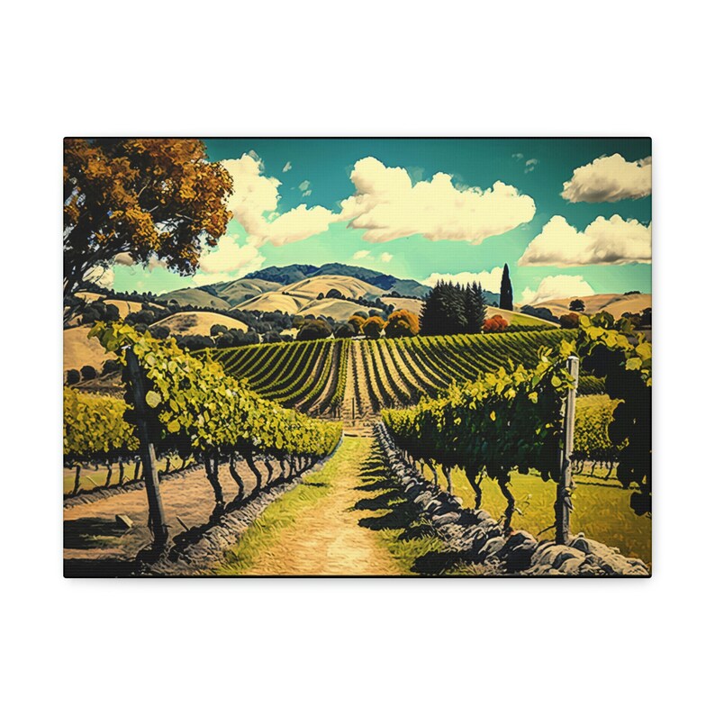 New Zealand Vineyard Canvas Print, Landscape Canvas Print, Canvas Print
