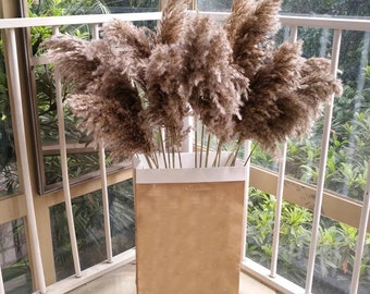 20pcs Dried Natural Pampas Grass