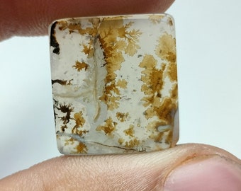 Dendritic Agate Rectangle,Cabochon loose Gemstone, Dendritic Agate For Making Jewelry Pendant 19x17 MM