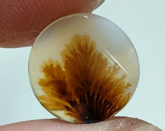 Dendritic Agate Round ,Cabochon loose Gemstone, Dendritic Agate For Making Jewelry Pendant 12x12 MM