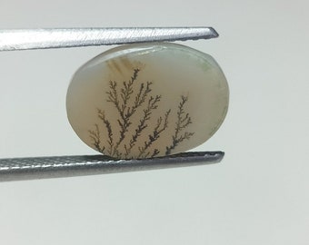 100% Natural Scenic Agate !!! Tree agate , Dendritic quartz, Dendritic agate, Scenic Agate Gemstone , Dendritic Agate Stone, size 11x8 MM