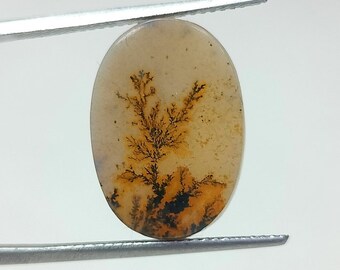 100% Natural Scenic Agate !!! Tree agate , Dendritic quartz, Dendritic agate, Scenic Agate Gemstone , Dendritic Agate Stone, size 17x12 MM