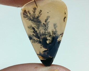 A one Quality Natural Dendritic agate Pear 24x16 MM