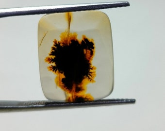 Gema de ágata dendrítica natural, cuarzo paisajístico (15 x 13 mm)