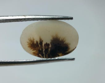 Gema de ágata dendrítica natural con inclusiones paisajísticas (12 x 8 mm)