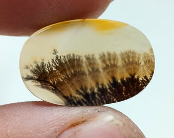 Dendritic Agate Pear ,Cabochon loose Gemstone, Dendritic Agate For Making Jewelry Pendant 20x13 MM