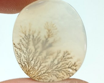 Dendritische Agaat ovaal, Cabochon losse edelsteen, Dendritische Agaat voor het maken van sieraden hanger 19x17 MM