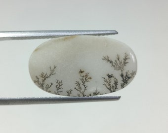 100% Natural Scenic Agate !!! Tree agate , Dendritic quartz, Dendritic agate, Scenic Agate Gemstone , Dendritic Agate Stone, size 20x11 MM