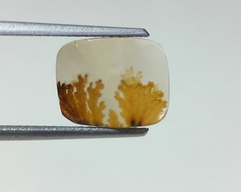 100% Natural Scenic Agate !!! Tree agate , Dendritic quartz, Dendritic agate, Scenic Agate Gemstone , Dendritic Agate Stone, size 10x8 MM