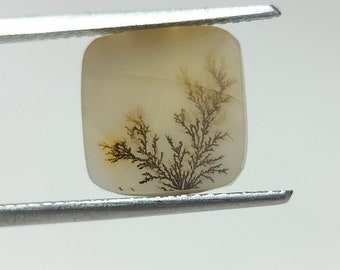 100% Natural Scenic Agate !!! Tree agate , Dendritic quartz, Dendritic agate, Scenic Agate Gemstone , Dendritic Agate Stone, size 10x10 MM