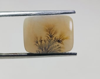 Piedra preciosa de ágata con forma de árbol paisajístico, cuarzo dendrítico (13 x 10 mm)