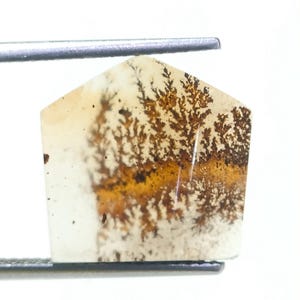 100% Natural Scenic Agate !!! Tree agate , Dendritic quartz, Dendritic agate, Scenic Agate Gemstone , Dendritic Agate Stone, size 13x13 MM