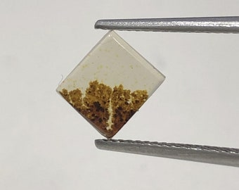 ¡Ágata escénica natural! Ágata de árbol, cuarzo dendrítico, ágata dendrítica, piedra preciosa de ágata escénica, piedra de ágata dendrítica, tamaño 7x6 MM