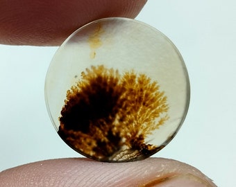 Designer Agate !!! Dendritic Agate Round Cabochon, Loose Gemstone,Natural  Dendritic Agate For Making Jewelry Pendent 16x16 MM