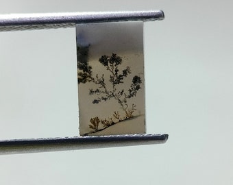 ¡Ágata escénica natural! Ágata de árbol, cuarzo dendrítico, ágata dendrítica, piedra preciosa de ágata escénica, piedra de ágata dendrítica, tamaño 10x6 MM