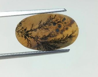 100% Natural Scenic Agate !!! Tree agate , Dendritic quartz, Dendritic agate, Scenic Agate Gemstone , Dendritic Agate Stone, size 16x10 MM