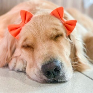 Hair bows for dogs with short hair hot sale