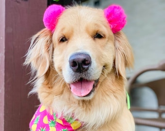 Dog hair headband, pompom headband, Dog Hair Bow, Classic Dog Hair Bows, pom pom headband, for dogs