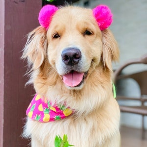 Bows for puppies with short hair cheap