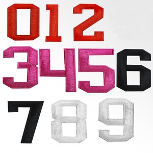 May include: Ten felt patches with numbers 0 through 9. The numbers are in different colours: red, pink, black, and white.