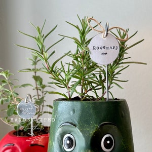 Op de afbeelding: Een groene keramische plantenpot in de vorm van een gezicht met grote ogen, met een rozemarijnplant met een metalen label met de tekst "Rosemary".
