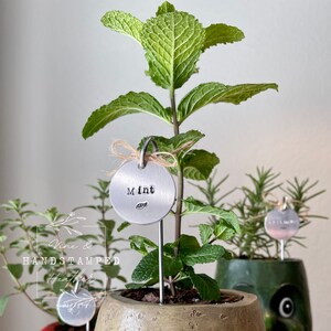 Op de afbeelding: Een zilveren metalen plantenmarker met het woord "Mint" dat met de hand is gestempeld. De marker is bevestigd aan een metalen stok en is in een pot met groeiende munt gestoken.