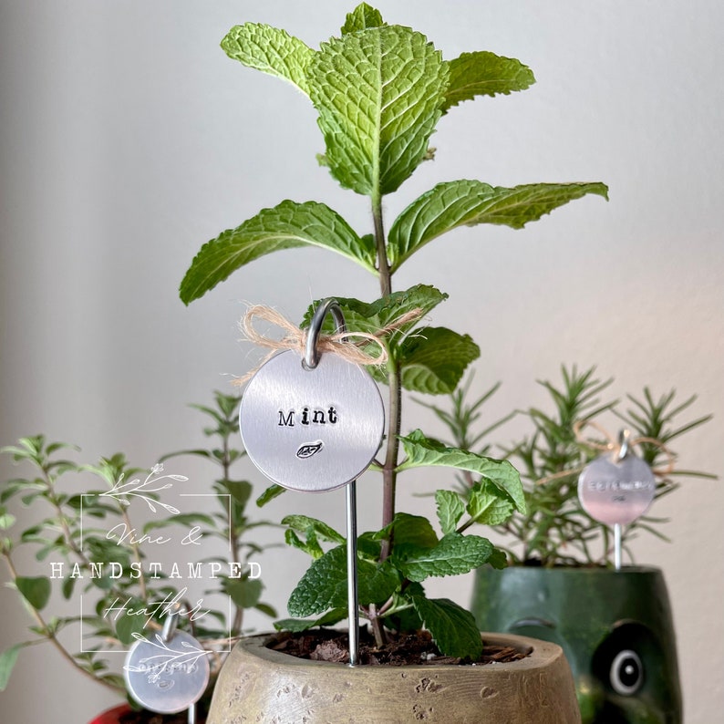 Op de afbeelding: Een zilveren metalen plantenmarker met het woord "Mint" dat met de hand is gestempeld. De marker is bevestigd aan een metalen stok en is in een pot met groeiende munt gestoken.