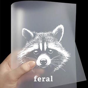 Feral DTF Transfers | Ready to Press Feral, Funny Graphic, Raccoon Direct to Film Transfers