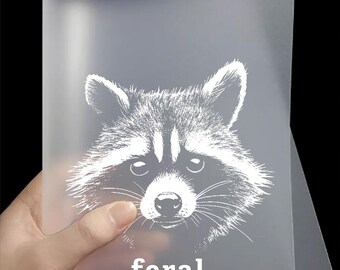 Feral DTF Transfers | Ready to Press Feral, Funny Graphic, Raccoon Direct to Film Transfers