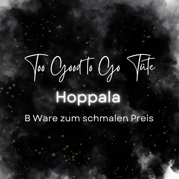 HOPPALA - Too Good to Go Tüte | B Ware für die Umschlagmethode | Sparchallenges und Spiele