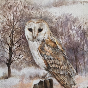Imprimé hibou.  Impression d&#39;art « Chouette effraie des clochers dans la neige »