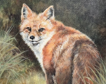 Fox Picture "Out of the Shadows" Red Fox Limited Edition Print