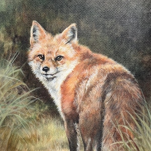Fox Picture &quot;Out of the Shadows&quot; Red Fox Limited Edition Print