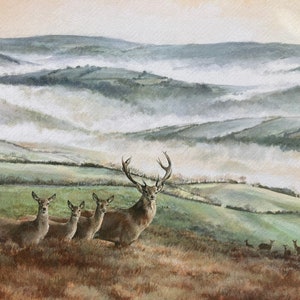 Stag Print.  Red Deer on Exmoor &quot;First Light Exmoor&quot;