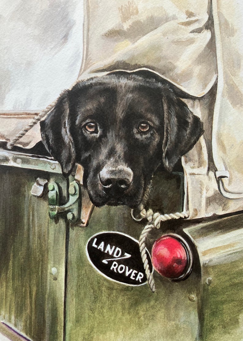 May include: A black Labrador Retriever dog peering out from the back of a green Land Rover. The dog's head is visible, with its ears and eyes showing. The Land Rover has a red taillight and a white "LAND ROVER" logo.
