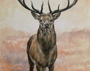 Red Deer Stag Limited Edition Print "Majesty"