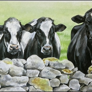 Dairy Maids. Limited Edition Cow print of British Holstein cows