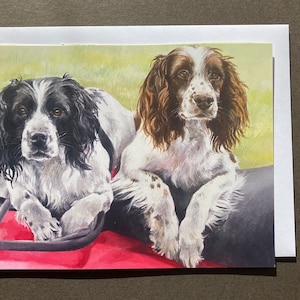 Cartão de trabalho do Springer Spaniel. Cartão vazio por Caroline Cook. Spaniel Springer