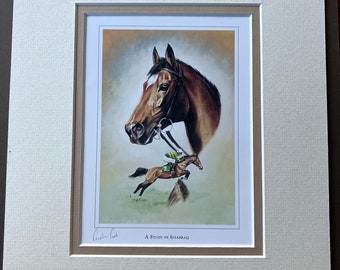 Horse Racing Art Print "A Study of Istabraq " Small Horse Racing picture