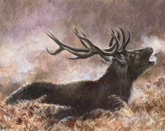 Red Deer Stag Limited Edition Print "The Roaring Stag"