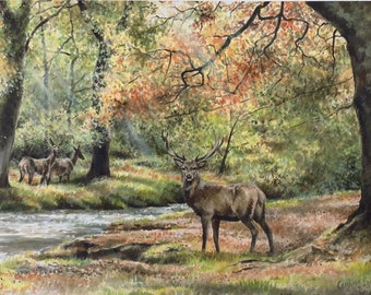 Red Deer Stag Giclée Print, Autumnal Horner Woods Exmoor