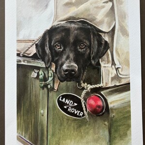 May include: A black Labrador Retriever dog peeks out from the back of a green Land Rover. The dog is wearing a rope collar and the Land Rover has a red taillight. The image is a watercolour painting.