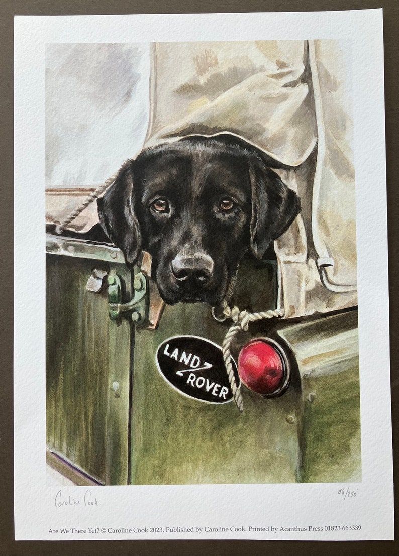 May include: A black Labrador Retriever dog peeks out from the back of a green Land Rover. The dog is wearing a rope collar and the Land Rover has a red taillight. The image is a watercolour painting.