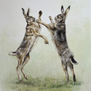 May include: Two brown and grey rabbits are fighting in a watercolour painting. The rabbits are in mid-air, with their front paws raised. The background is a light green.
