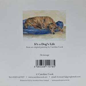 May include: A watercolor painting of a brown and white dog lying on a blue bed. The painting is titled "It's a Dog's Life" and is by Caroline Cook.
