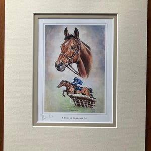 May include: A framed print of a brown horse with a jockey riding over a hurdle. The print is titled "A Study of Hurricane Fly" and is signed by the artist.