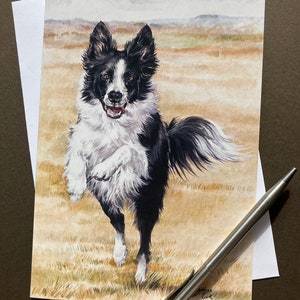 Tarjeta de felicitación Border Collie "Joy" Tarjeta de cumpleaños para Collie Dog Lover